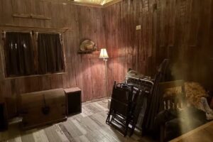 International Minerals de M&eacute;xico