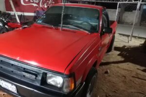 Los cocos herrer&iacute;a y Pintura