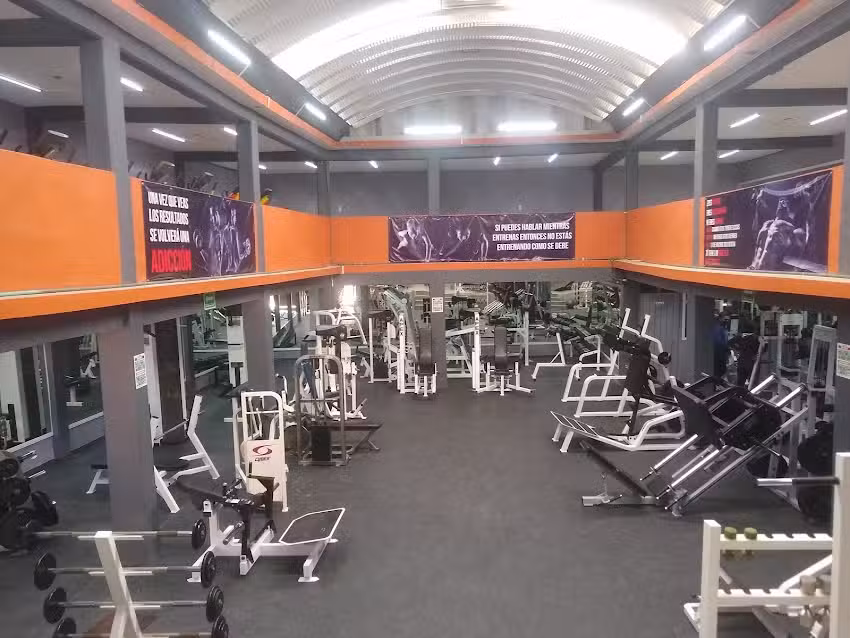 METAL GYM