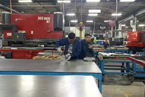 Metalia MS, S.A. de C.V.