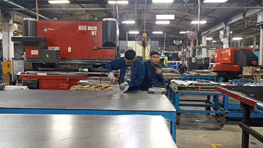 Metalia MS, S.A. de C.V.