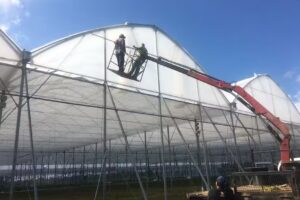 MSC INVERNADEROS / INDUSTRIAS MET&Aacute;LICAS AGR&Iacute;COLAS DE M&Eacute;XICO