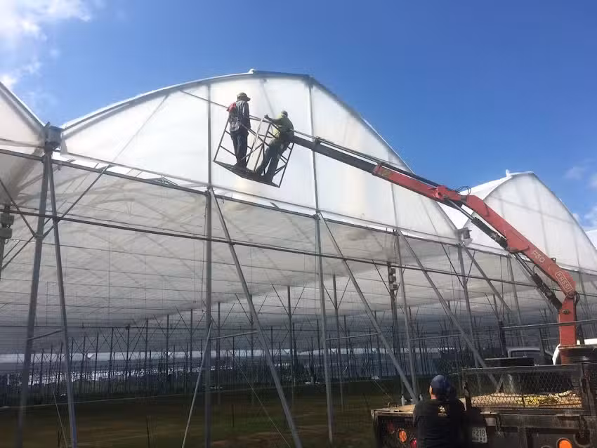 MSC INVERNADEROS / INDUSTRIAS MET&Aacute;LICAS AGR&Iacute;COLAS DE M&Eacute;XICO