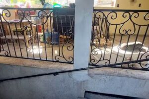 Omar Herrer&iacute;a