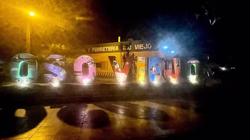Oso viejo
