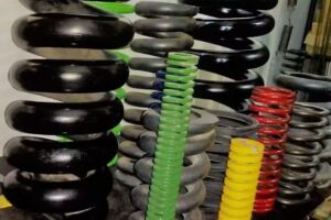 PROMOTOR DE RESORTES