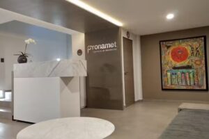 Pronamet (Proyectos Nacionales de Metal)