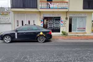 Puertas automaticas El serranito Jr