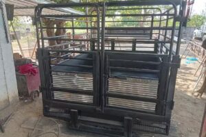 RANCHO SAN &Aacute;NGEL