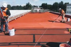 Servicios dom&eacute;sticos y m&aacute;s