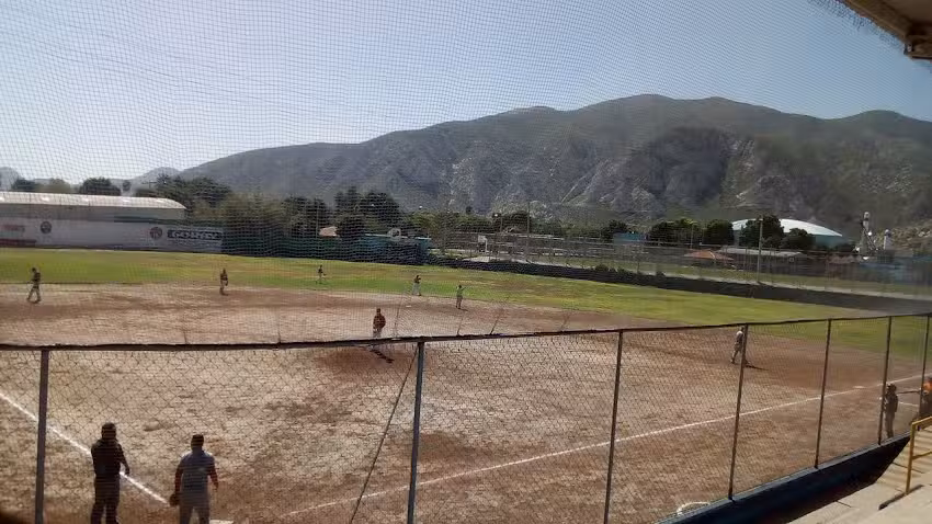 Sindicato Nacional Minero Metal&uacute;rgico
