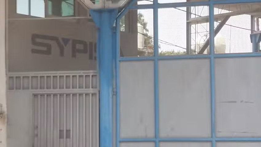 Sypisa