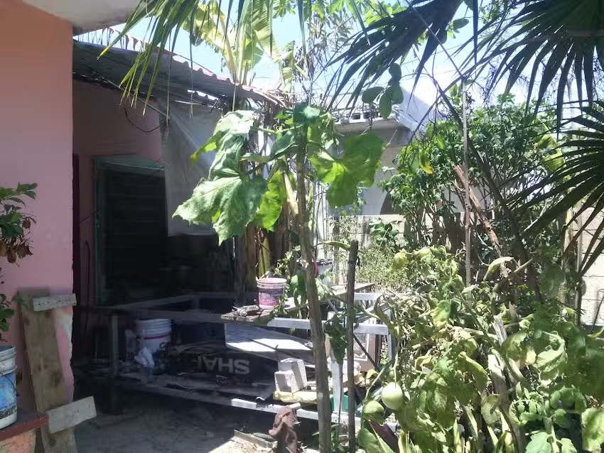 Taller de Herrer&iacute;a