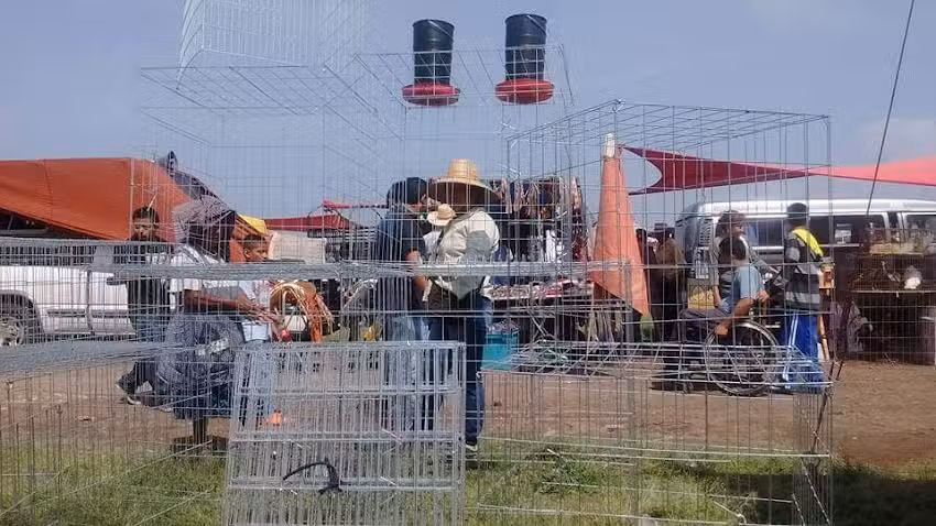 Taller de Jaulas Nealtican