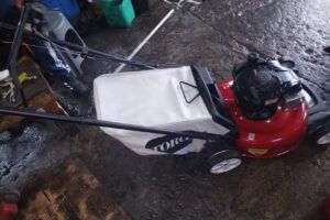 Taller De Podadoras Union