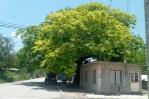 Taller de soldadura Medina