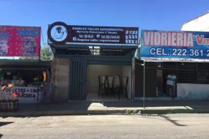 Taller experimental &Aacute;ngeles