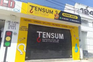 Tensum M&eacute;xico