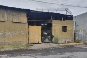 troquelados y rechazados olivares