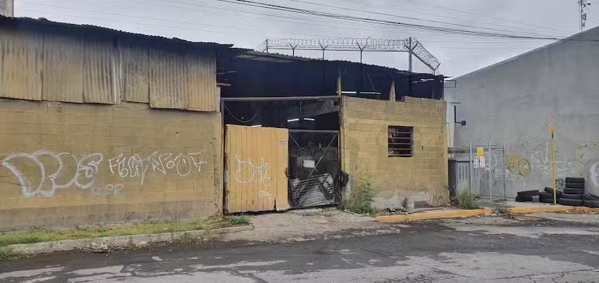 troquelados y rechazados olivares