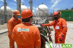 V&aacute;lvulas Ankle