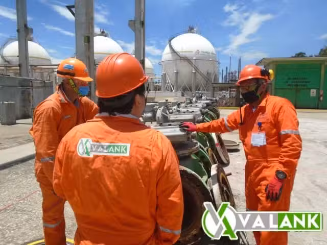 V&aacute;lvulas Ankle