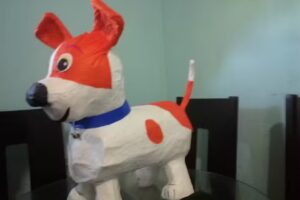 Vidrios y Aluminios Piter Mayorga