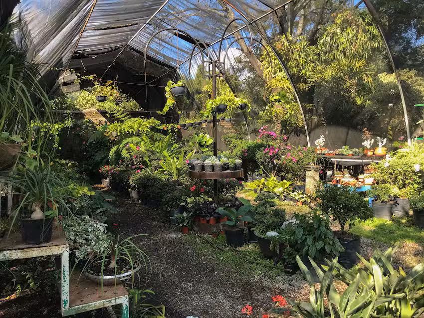 Vivero Cipr&eacute;s